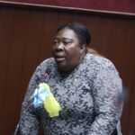 Dulce Rojas busca la Alcaldía de Santo Domingo Norte en 2028