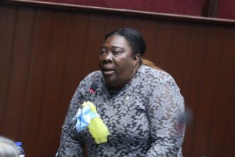 Dulce Rojas busca la Alcaldía de Santo Domingo Norte en 2028