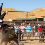 Jackass anuncia su quinta y última película para junio de 2026