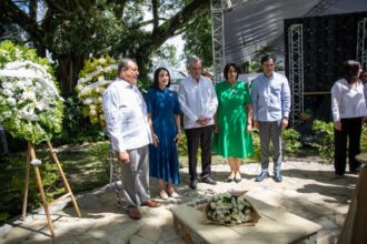 Abinader crea comisión para centenario de Minerva Mirabal