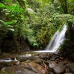 Ecuador recibe US$23 millones para adaptación al cambio climático