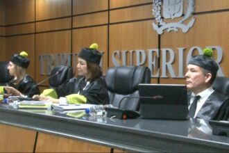 TSE revisará demanda de nulidad en elección interna del PLD