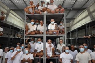 Juicio masivo a 220 miembros de la MS-13 por miles de homicidios