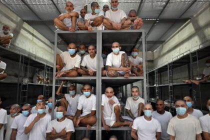 Juicio masivo a 220 miembros de la MS-13 por miles de homicidios