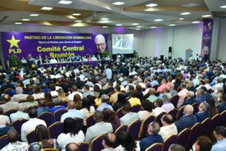 PLD descarta alianzas y prioriza candidatura propia para 2028