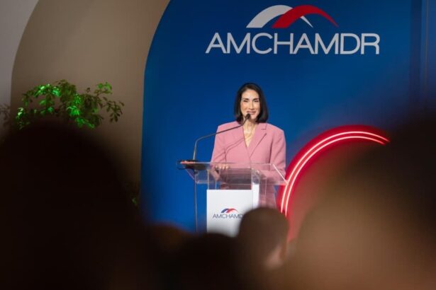 Raquel Arbaje urge reforzar alianzas público-privadas en RD