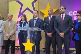 PLD aplaude exoneración judicial de Gonzalo Castillo y Peralta