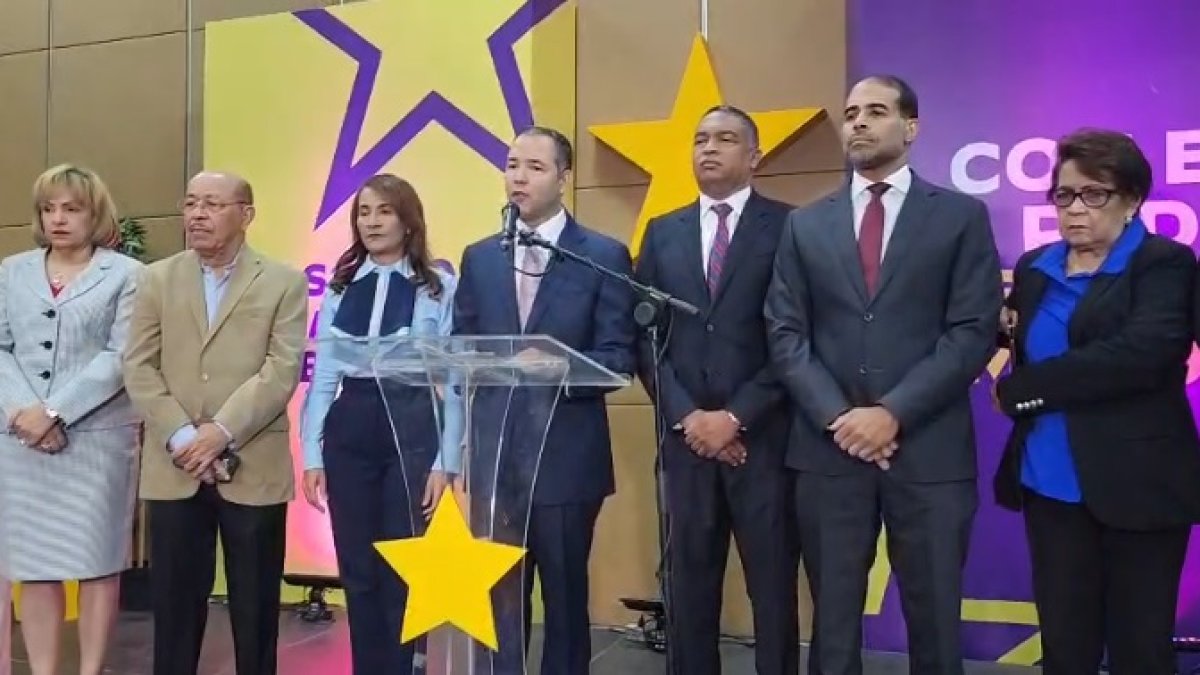 PLD aplaude exoneración judicial de Gonzalo Castillo y Peralta