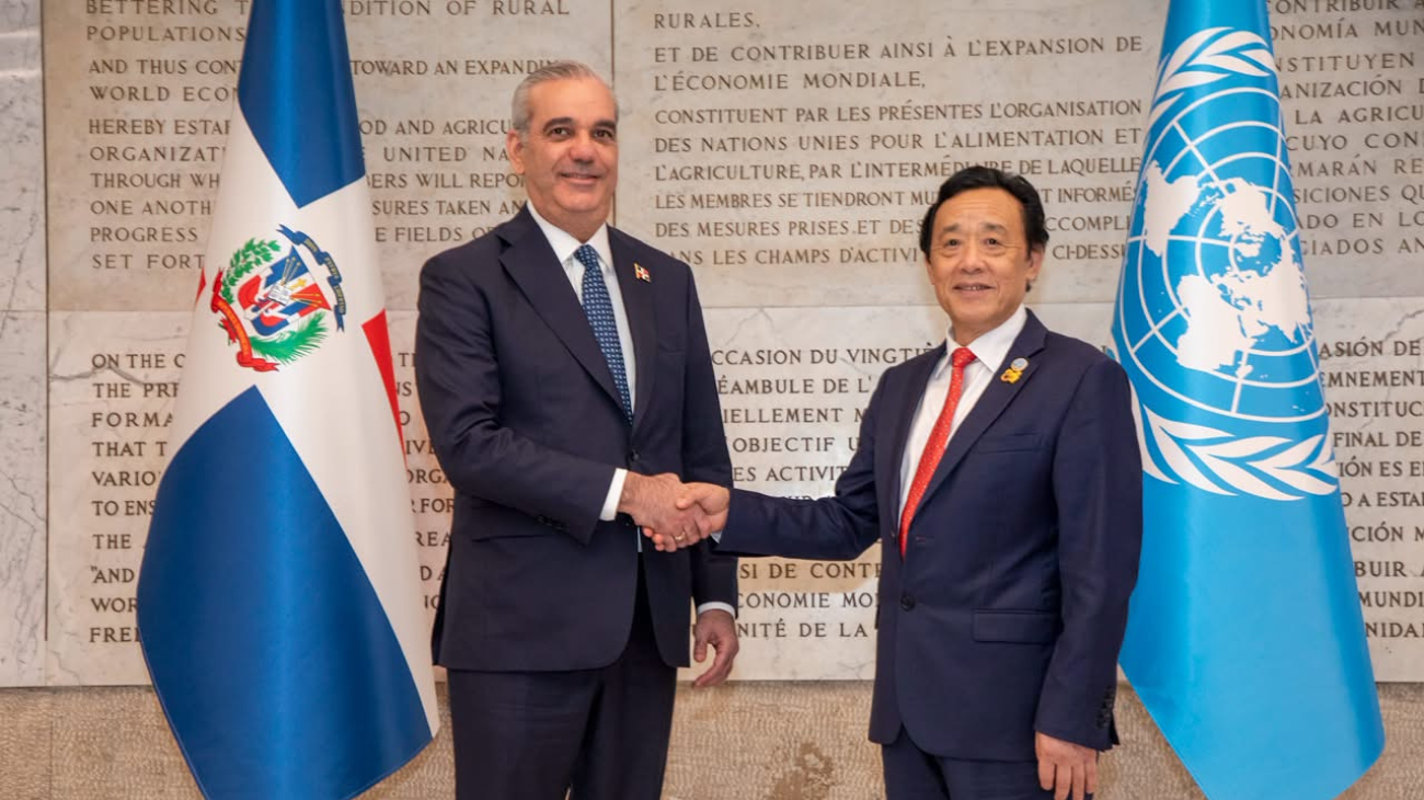 Dos personas se estrechan la mano entre las banderas dominicana y de Naciones Unidas.